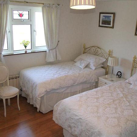Erw-Lon Farm Bed & Breakfast Pontfaen Ruang foto
