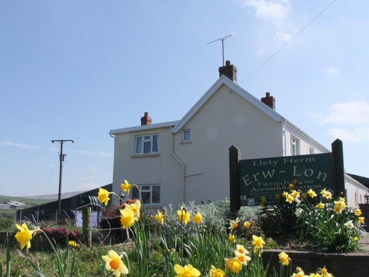 Erw-Lon Farm Bed & Breakfast Pontfaen Bagian luar foto