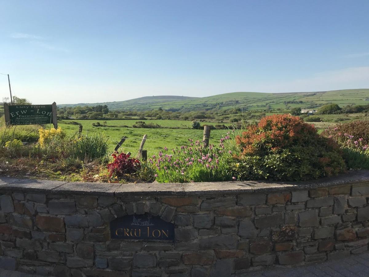 Erw-Lon Farm Bed & Breakfast Pontfaen Bagian luar foto