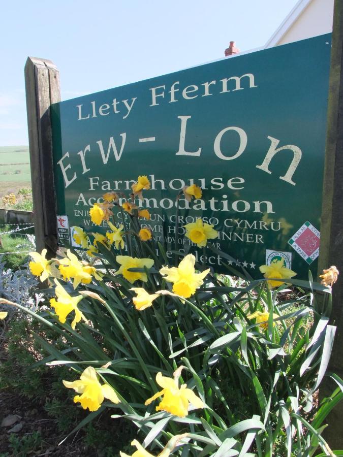 Erw-Lon Farm Bed & Breakfast Pontfaen Bagian luar foto