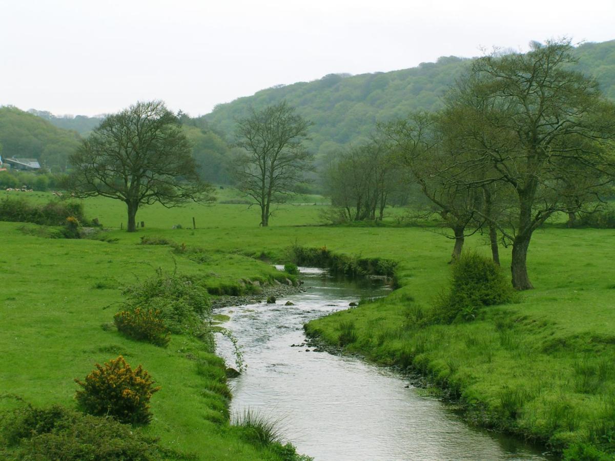 Erw-Lon Farm Bed & Breakfast Pontfaen Bagian luar foto