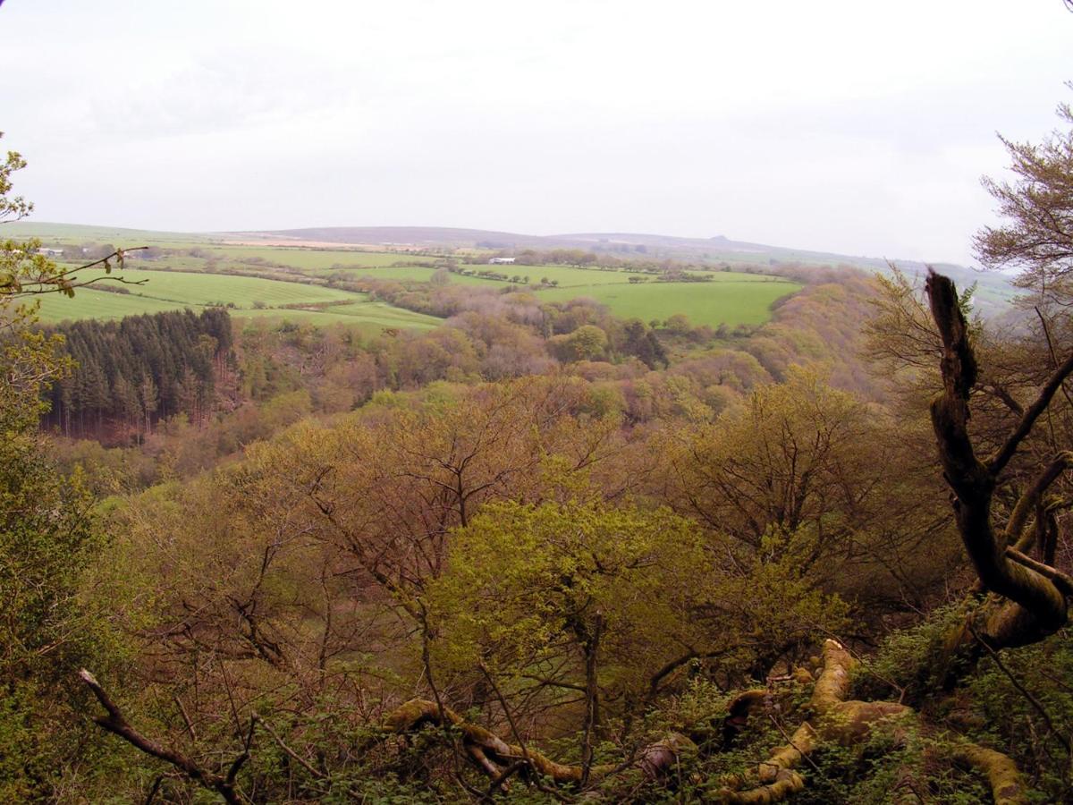 Erw-Lon Farm Bed & Breakfast Pontfaen Bagian luar foto